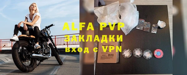гидра Белокуриха