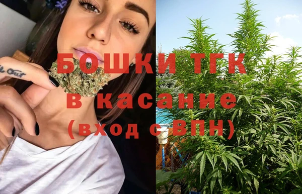 гидра Белокуриха